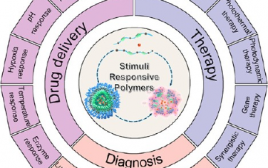 ACS Nano综述：刺激响应性聚合物基纳米系统用于癌症诊疗