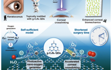 Nat Commun：开发石墨氮化碳量子点基氧自给自足平台，增强角膜交联