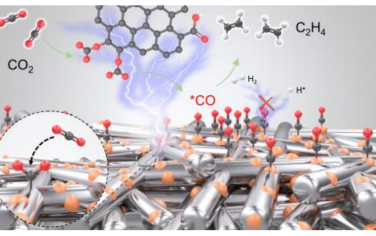 北化工Angew：氧官能团修饰增强电催化CO2的C2选择性