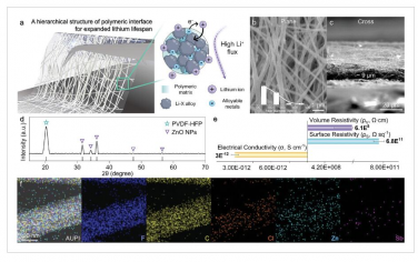 AEM：用于减轻长寿命锂金属电池粉化和树枝状生长的合金化一维聚合物界面