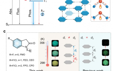 Nature Communications：异常热激动态有机磷光