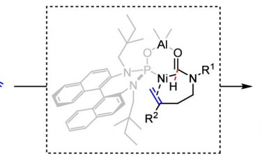 南开&天津大学JACS：Ni-Al双金属催化烯烃构筑α-四级碳γ内酯