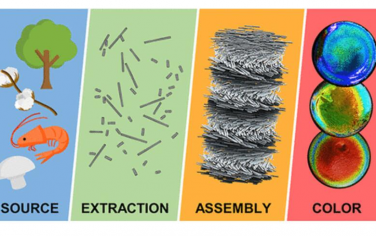 Chem. Rev.：纤维素纳米晶体或甲壳素纳米晶体的结构色