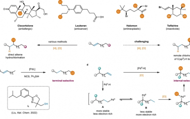北理工Nature Commun：Pd催化烯烃远程C(sp3)-H键氯化