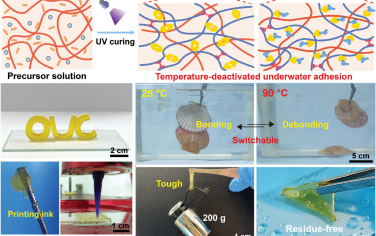 AFM：基于温度失活设计的坚固、可切换和可打印的水下粘合剂