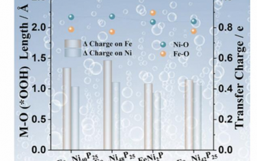 AEM：多重杂化增强Fe-Ni双金属电催化剂在水氧化中的性能