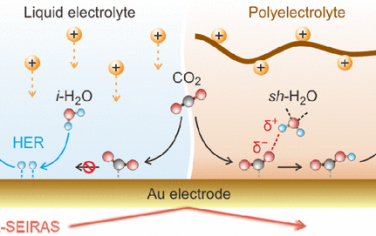 武汉大学JACS：表征电催化CO2的电极-固体电解质界面