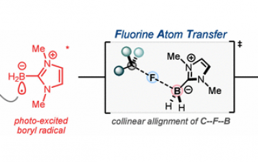 JACS：激发态硼自由基C-F键官能团化