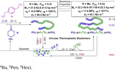 Nat Commun：以简单的生物源 δ-戊内酯为原料，生产出完全可回收且坚韧的热塑性弹性体