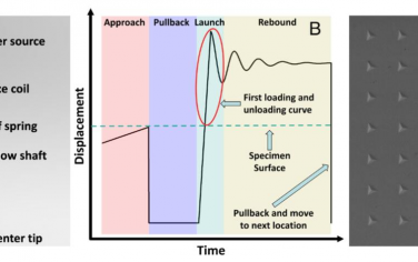 PNAS：金属位错亚结构的高应变速率纳米压痕演化