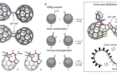 Nat Commun：具有固有手性的[60]富勒烯间缀合物的合成