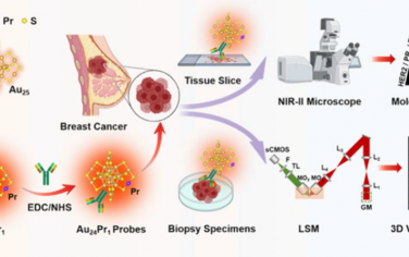 Nano Lett：利用 NIR-II成像对临床患者组织进行乳腺癌病理演进的三维可视化