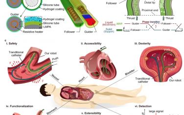 Nature Communications：具有可编程形状和功能的用于腔内手术的磁性连续转向机器人