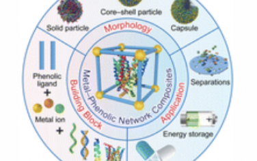 Chem. Soc. Rev.：金属-酚醛网络复合材料：从基础到应用