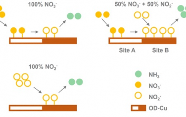 新加坡国立大学JACS：氧化物演变Cu催化剂具有两个催化活性位点