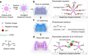 南方科技大学&苏州大学Nature Commun：调节表面电荷实现ZnO纳米粒子光图案化