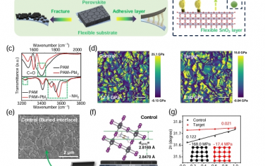 EES：层间增强以提高可穿戴钙钛矿太阳能电池的机械可靠性