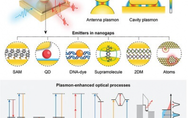 Adv Mater综述：Plasmonic纳米间隙的光-物质强相互作用