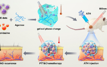 ACS Nano：刺激响应性水凝胶可增强光热疗法以对抗癌症干细胞诱导的乳腺癌转移