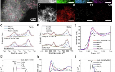 黑龙江大学Nature Commun：硼掺杂C3N4修饰FeOOH和CoOx光催化合成H2O2