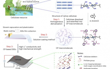 Nature Sustainability：固态电池电解质中可再生纤维素生物聚合物的分子工程