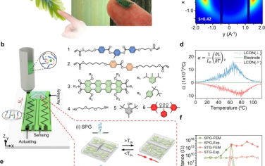 Nature Communications：用基于液晶网络的自适应电子器件推进交互式系统