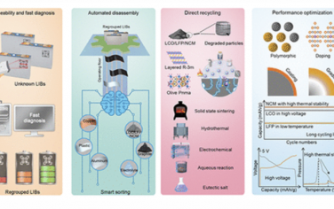 Chem. Rev.：废锂离子电池直接再生中的回收方法