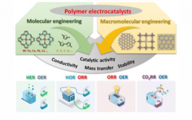 Chem. Soc. Rev.：工程有机聚合物作为电催化剂的新兴可持续材料