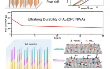 Joule：通过形态设计实现乙醇氧化反应的超长耐久性