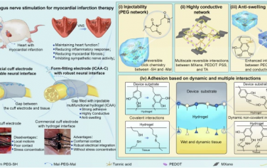 Nature Communications：高稳定性、可注射的导电水凝胶用于慢性神经调制
