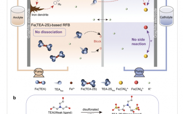 AEM：通过二磺酸配体螯合实现高稳定性碱性全铁氧化还原液流电池