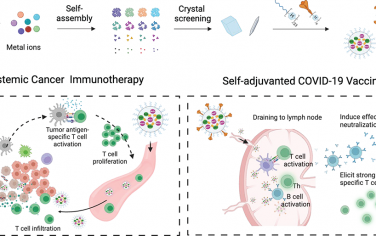 ACS Nano：可激活STING的自组装配位纳米粒子用于癌症免疫治疗和癌症疫苗
