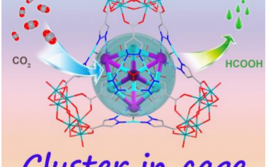 东北师范大学Angew：金属笼内原位生长金属簇光催化还原CO2制备甲酸