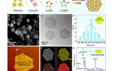 Science Advances：等离激元 Pd-Sb 纳米片用于光热 CH4 转化为 HCHO 及治疗