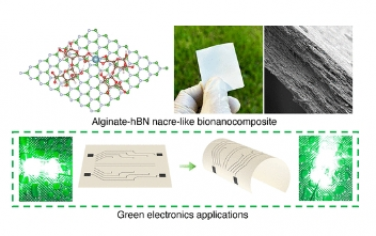 ACS Nano：用于绿色电子产品的高负载六方氮化硼藻类衍生珍珠层状介电生物纳米复合材料