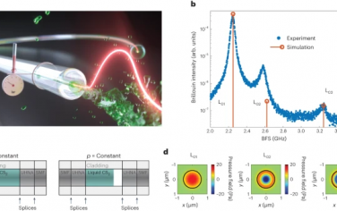 Nature Physics：通过受激布里渊–Mandelstam散射实现纳升体积的极端热力学