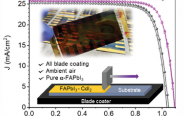 AEM：镉掺杂减缓钙钛矿太阳能电池中的陷阱清空