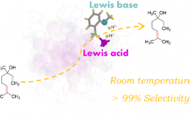 内大沈慧课题组JACS:受阻路易斯酸碱对团簇（FLPCluster）用于选择性催化加氢