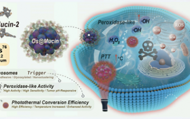 Nano Lett：粘蛋白触发的锇纳米团簇可作为蛋白冠状纳米酶以实现肿瘤特异性治疗