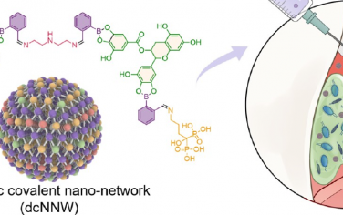 ACS Nano：通过反应诱导自组装构建的动态共价前药纳米网络用于治疗牙周炎