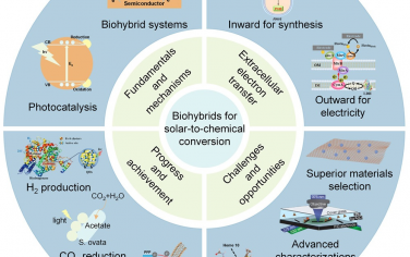 新加坡国立大学Chem综述：构建生物-非生物太阳能-化学能转化复合体系