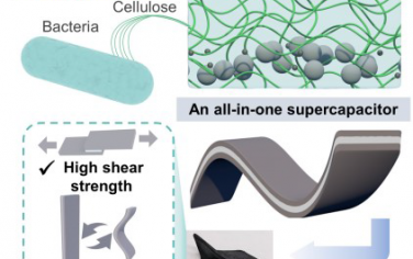 俞书宏院士Adv Mater：连续生物合成构筑高性能超级电容器