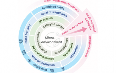 Chem. Rev.：液相环境催化中多相催化剂的微环境工程