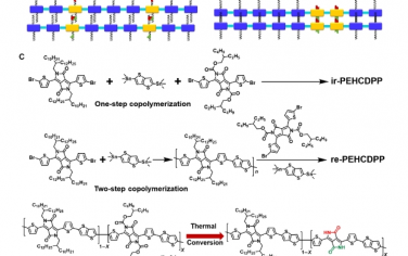 Science Advances：原位连续氢键工程用于本质上可拉伸和可修复的高迁移率聚合物半导体