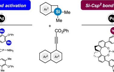 JACS：配体调控炔烃和硅杂环丁烷扩环制备六元环烯烃