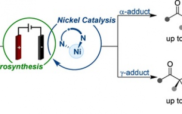 中科大JACS：Ni电催化立体选择性交叉脱氢偶联α、γ硝基烷基化