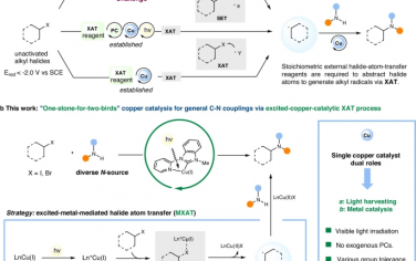 Nature Commun：原位形成Cu(I)光催化剂用于烷基卤化物的C-N偶联