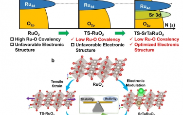 Nature Commun：应变和掺杂剂对打破RuO2酸性析氧电催化剂活性-稳定性折衷的有效性