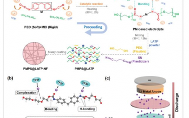 AEM：通过聚合物基调控实现全固态锂金属电池制造的性能和安全平衡