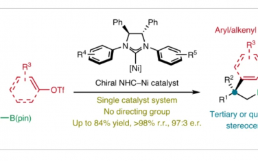 Nature Synthesis：N-杂环卡宾-镍催化烯烃硼化对映选择性合成多功能烷基硼酸酯